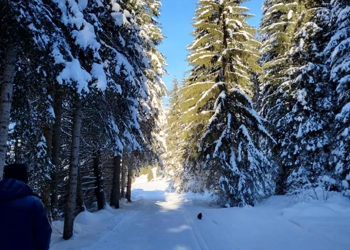 Tga Sulai E Glina Apartment Rona