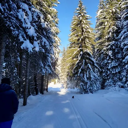 Tga Sulai E Glina Apartment Rona