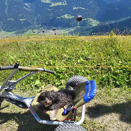 Apartment Tga Sulai E Glina Rona