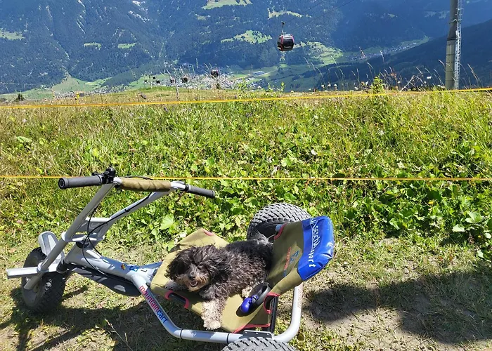 Apartment Tga Sulai E Glina Rona